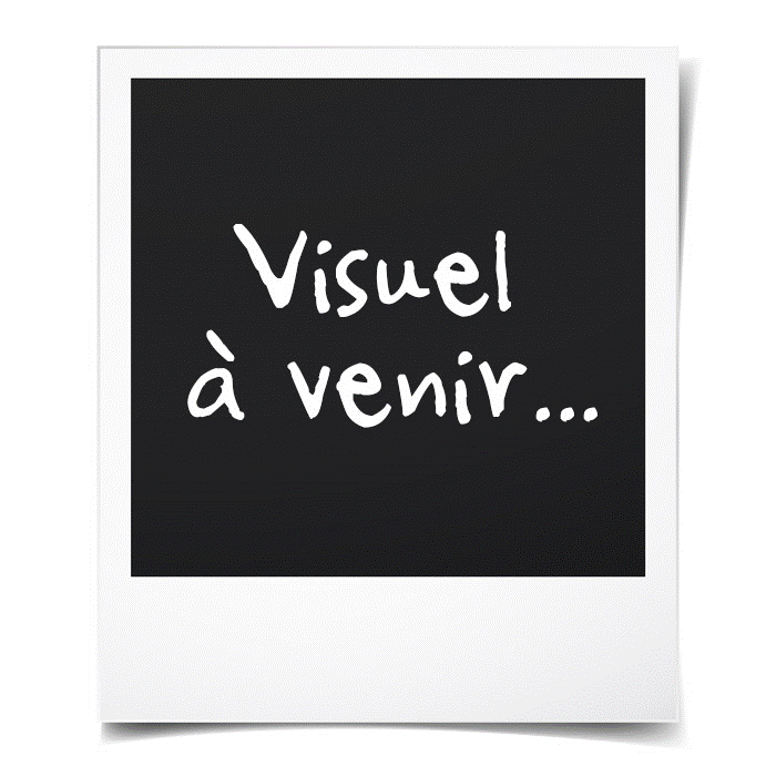 CongÈlateur coffre - INDESIT OS2A450HFR - 437L - Classe E - L 140,5 cm x H 91,6 cm - blanc