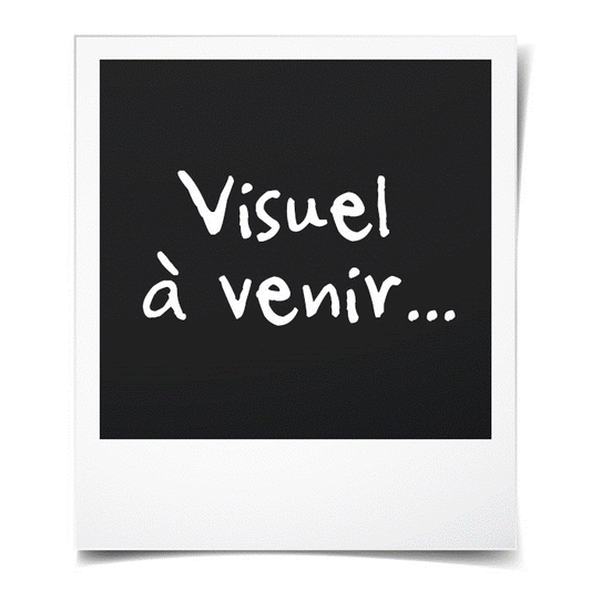 CongÈlateur coffre - INDESIT OS2A450HFR - 437L - Classe E - L 140,5 cm x H 91,6 cm - blanc