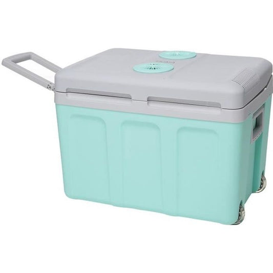 Glaciere thermoÈlectrique EZA 40L - Alimentation 12/220V - Vert - IdÈale pour l'ÈtÈ en voiture